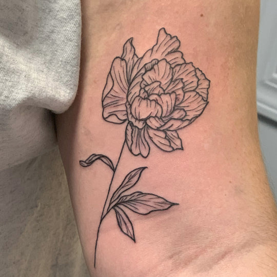 a black line work tattoo of a simple peony on the inside upper arm of a woman.