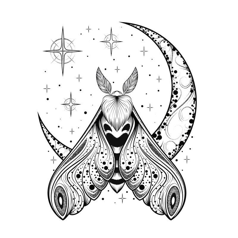 A white background with a black cresent moon and stars with a ornate moth in front of the bottom of the moon facing upward.
